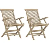 vidaXL Klapstoelen, 2 stuks, grijs, 56 x 61 x 89 cm, massief teakhout