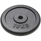 vidaXL Halterschijven 2 st 2x10 kg gietijzer