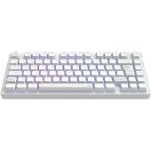 Dark Project - Nostra White 81 RGB