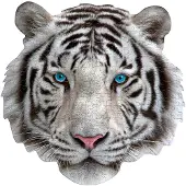 Madd Capp Puzzles - I AM White Tiger - 300 stukjes - Legpuzzel in de vorm van een dier