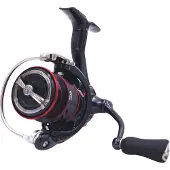 Daiwa Haspels, (2500)