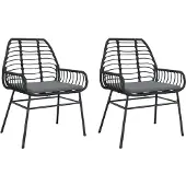 vidaXL Tuinstoelen 2 st met kussens poly rattan zwart
