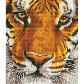 Diamond Dotz Bengal Magic - Diamond Painting - 18.250 Dotz - 42x36 cm