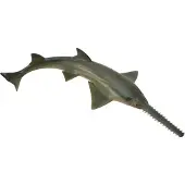 Collecta Figurine - Zaagvis - (M) - Zeedieren - Handgeschilderd - Miniatuur