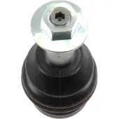 VAICO V10-0781 Fuseekogel