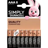 Duracell AAA Batterijen