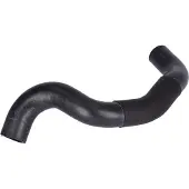 FEBI BILSTEIN 181184 Radiateurslang