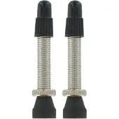 VAR 2 Brass Presta Valves Grijs 35 mm