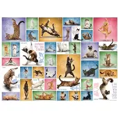 Eurographics Yoga Cats Puzzel (1000 stukjes)