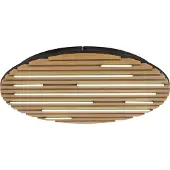 Paul Neuhaus Ronde Plafondlamp Q Akustik Ø 60cm Hout