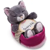 Nici Kat Slaapt In Mand Met Teddybeer 12 Cm Roze
