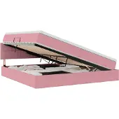 vidaXL Opbergbed met hoofdeinde Roze 200 x 200 cm Fluweel