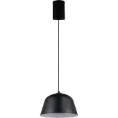 TRIO Design hanglamp Tova zwart