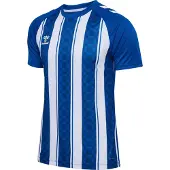 Hummel Functioneel shirt 'Match' groen / donkergroen / wit