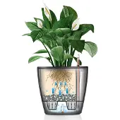 Lechuza Zelfwaterende Bloempot in Wit - 49,5 x 46,5 cm Kunststof