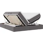 vidaXL Opbergbed met matras met opslag Grijs 200 x 200 cm Kunstleer