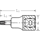 Stahlwille 49 TX T 40 02100040 3/8 (10 mm) Schroevendraaierdop T 40 3/8 (10 mm)
