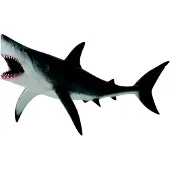 Collecta Figurine - Witte Haai - (Xl) - Zeedieren - Handgeschilderd - Miniatuur