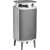 BlueAir DustMagnet 5240i Grijs