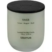 Blomus Geurkaars Tuoksu Sage S