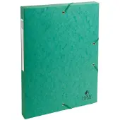 Exacompta Archiefdoos 50303E Groen Glanzend karton 25 x 33 cm 8 Stuks