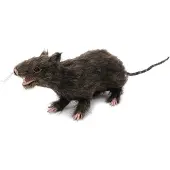 Europalms - Halloween - Decoratie - Versiering - Accesoires - Rat lifelike with coat 30cm