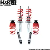 H&R 45696-1 Schokdemper met veer