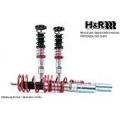 H&R 45602-4 Schokdemper met veer