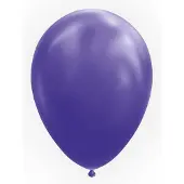 Wefiesta Paarse ballonnen | 25 stuks