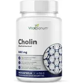 VitaSanum - Choline (Choline Bitartaat) 120 St