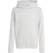 Adidas Entrada 26 Hoodie Kids Grijs Wit