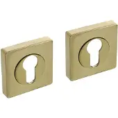 Intersteel cilinderrozetten vierkant verdekt 55x55x10mm met nokken - messing PVD