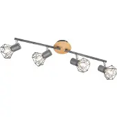 FISCHER&HONSEL GMBH 4-lichts plafondlamp Ran zwart