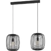 Eglo 2-lichts hanglamp Rinroe design zwart