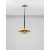 Lyora Hanglamp Fox goud