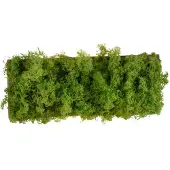 JUST LIGHT Rechthoekige plafondlamp Green Carlo met mos