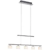 Paul Neuhaus 5-lichts hanglamp Hydra metaal