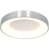 Steinhauer Led plafondlamp Ringlede Ø 48cm