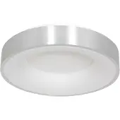 Steinhauer Plafondlamp Ringlede 30 cm zilver