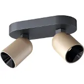 Artdelight Plafondlamp Houston 2-lichts zwart met champagne