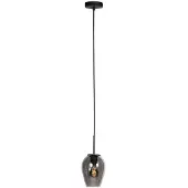 Mexlite Hanglamp Haloswap Met 1 Smoke Glas Ø 15cm