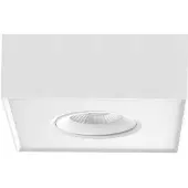 Artdelight Plafondlamp Brooklyn dim to warm wit enkel