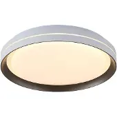 Searchlight Plafonniere Saucer wit