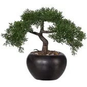 Kopu kunstmatige ceder bonsai, 26 cm hoog, met zwarte pot - Bonsaiboom