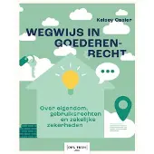 Borgerhoff & Lamberigts Wegwijs in goederenrecht