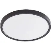 LINDBY Slimme plafondlamp Pravin, dimbaar, zwart, Woon-/ Eetkamer, Kunststof, Modern, Slimme plafondlamp