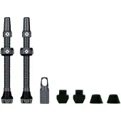 Muc Off - Tubeless Valve Kit V2 Universal For MTB & Road - Fietsventiel 60 mm, grijs