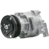 RIDEX 447K0534 Aircopomp