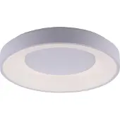 Paul Neuhaus LED-plafondlamp 14326-16, wit, 26,5 W, 3300 lm, kleurtemperatuur
