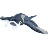 Wild republic : Manta-roggen